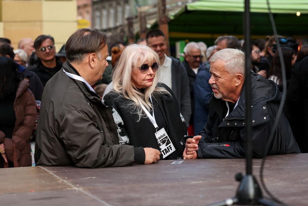 Hanka Paldum, Emir Hadžihafizbegović