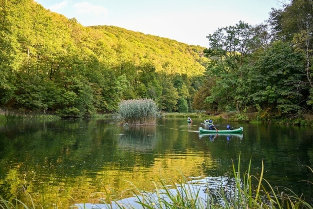 Jankovac