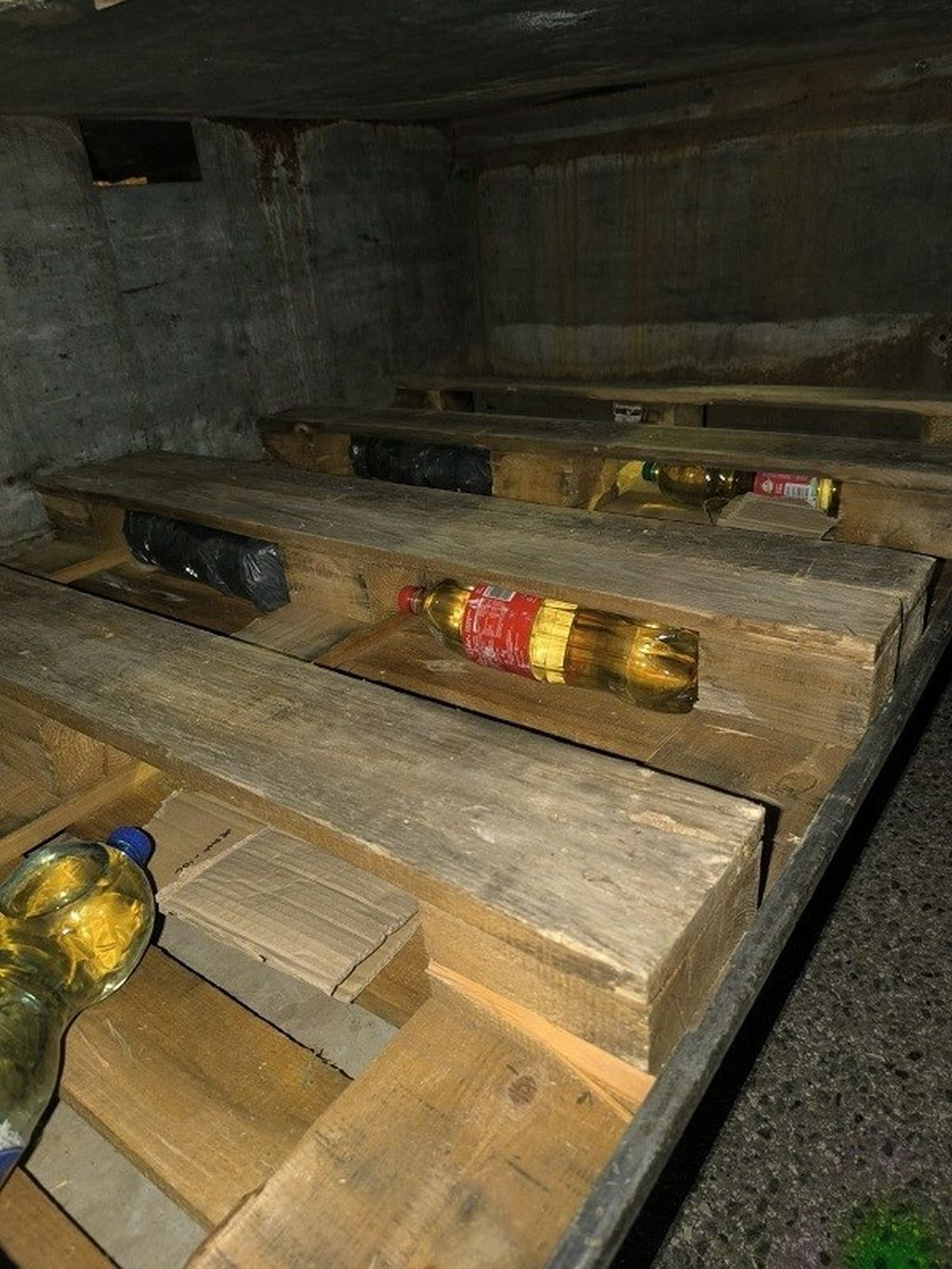 GP Bajakovo, ilustracija