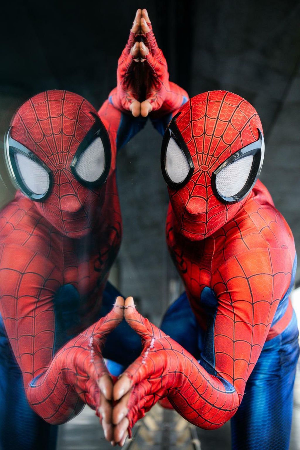 Spider-Man iz Velike Gorice