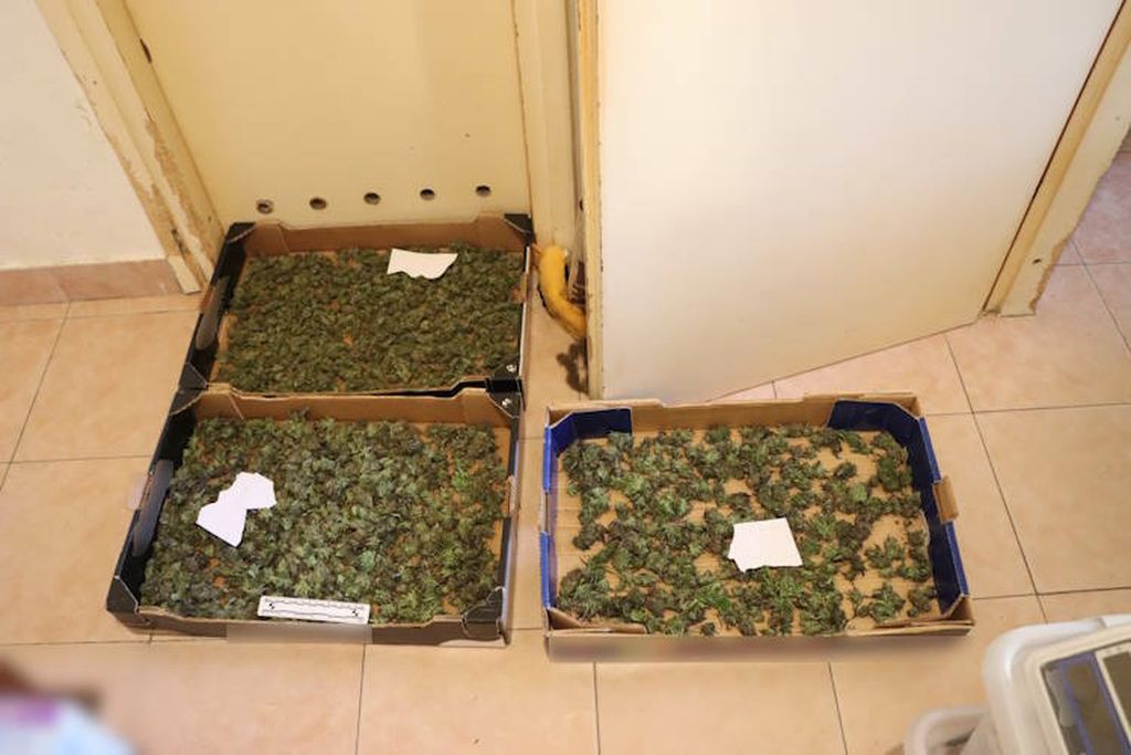 70-godišnjak uzgajao marihuanu - 2