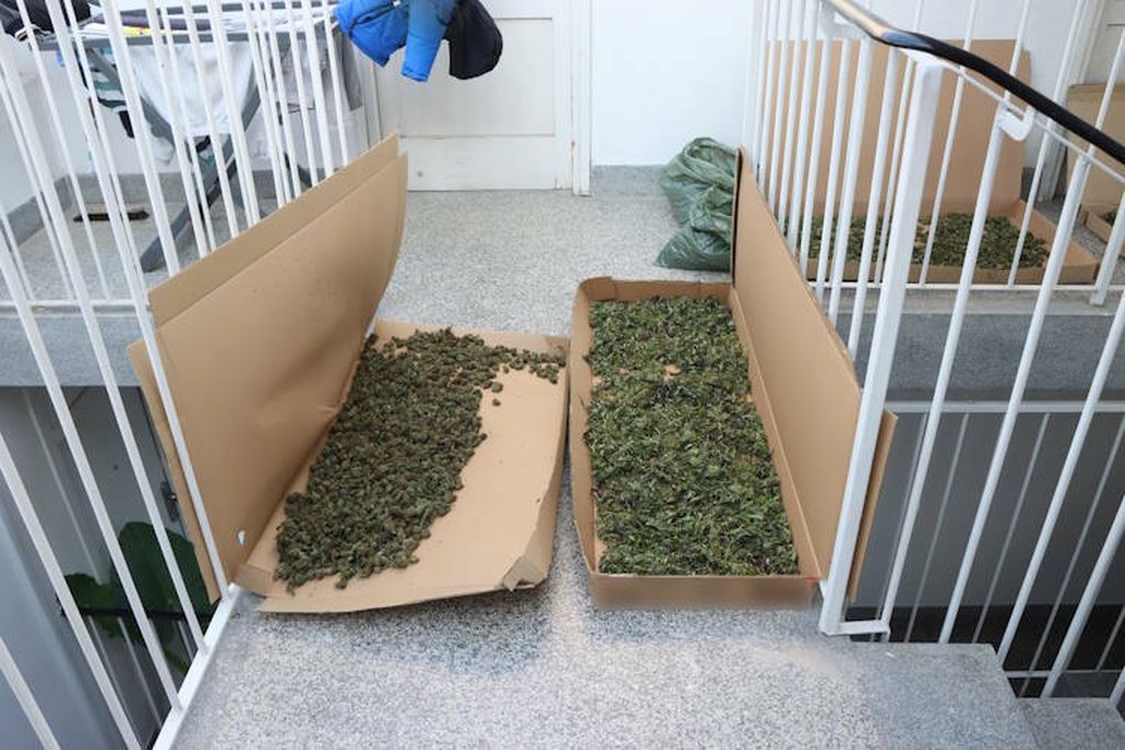 70-godišnjak uzgajao marihuanu - 2