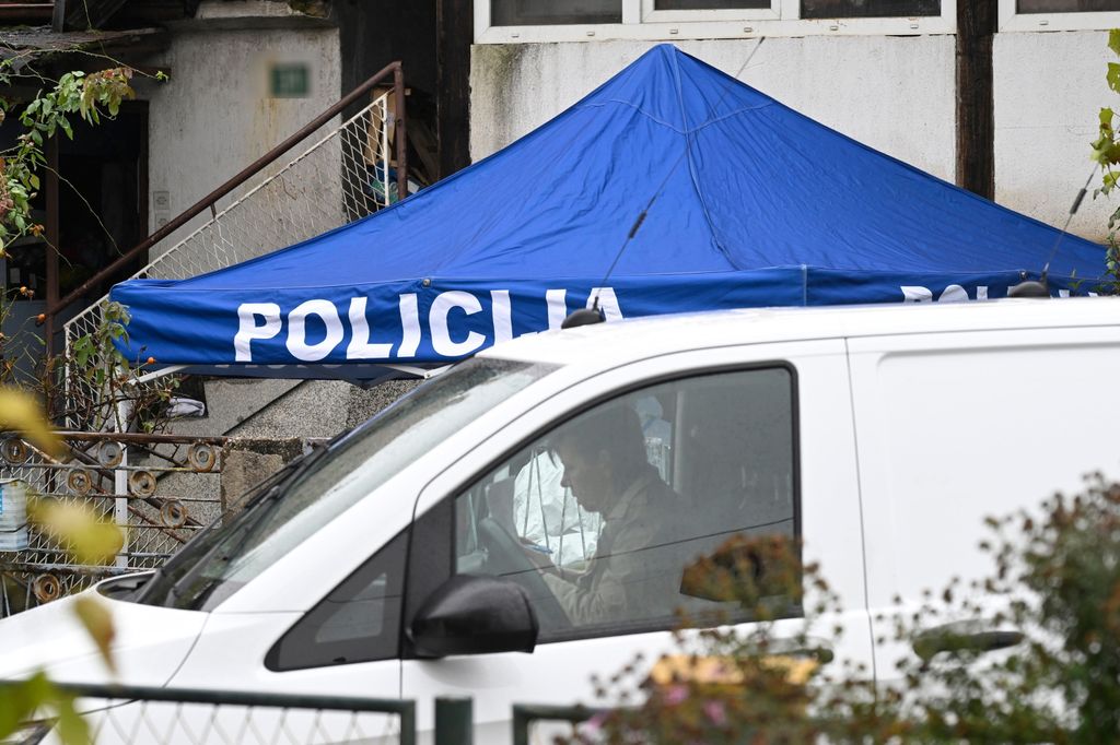 Ubojstvo u Vrapču - 2