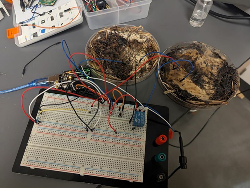 Matična ploča, ilustracija