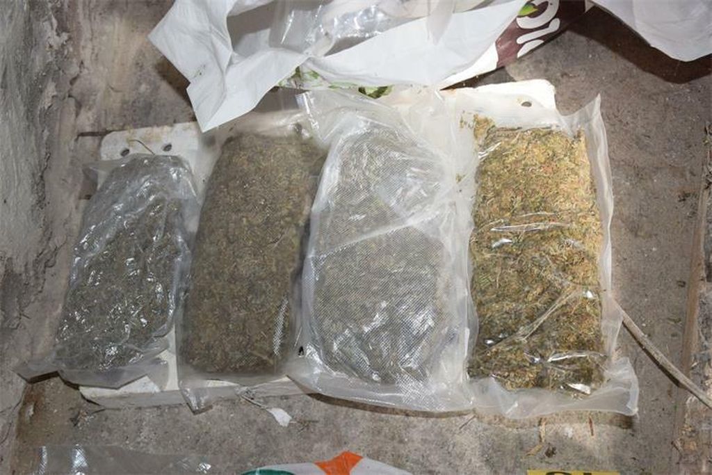 Plantaža marihuane kod Čazme - 6