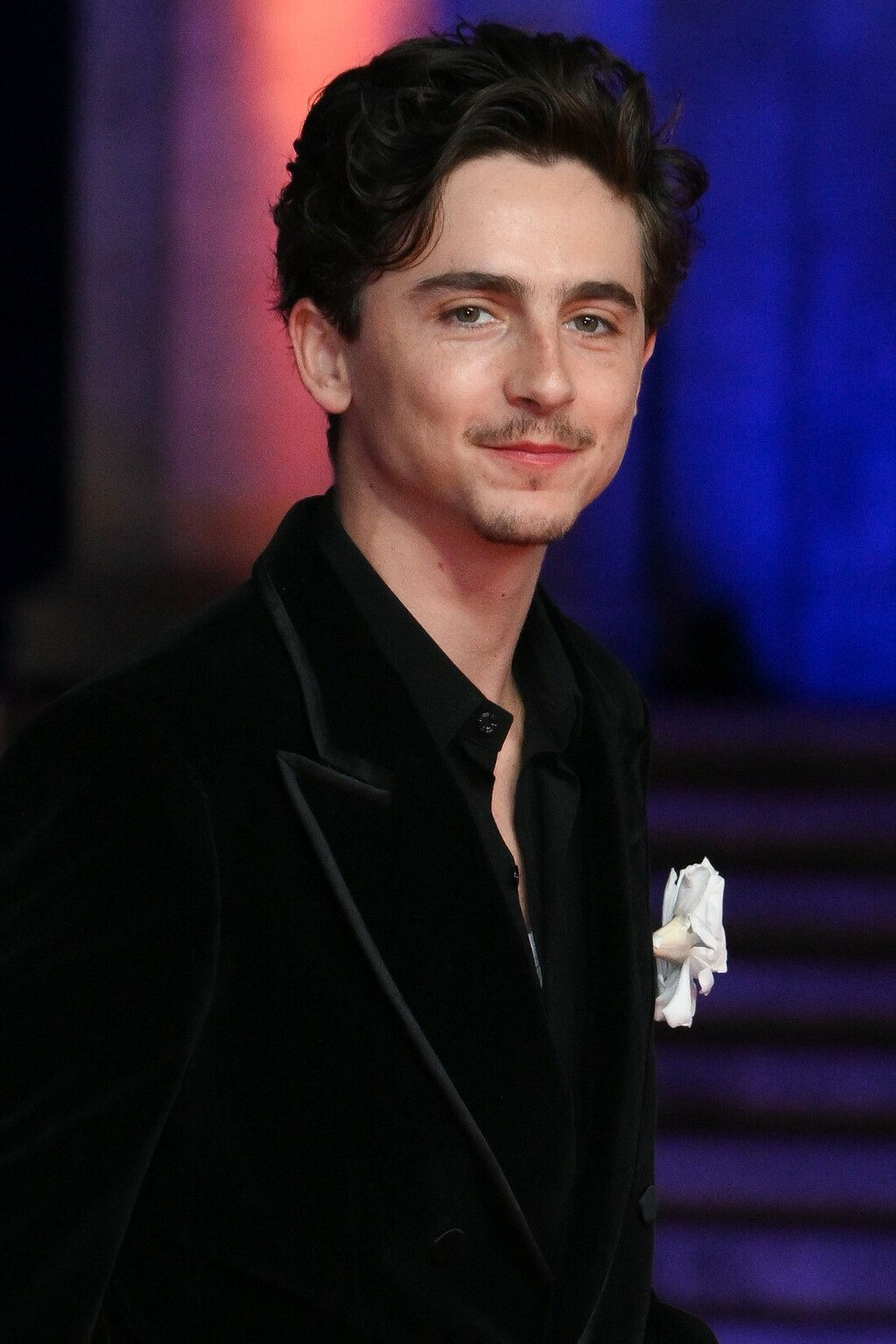 Timothee Chalamet je također rodent man