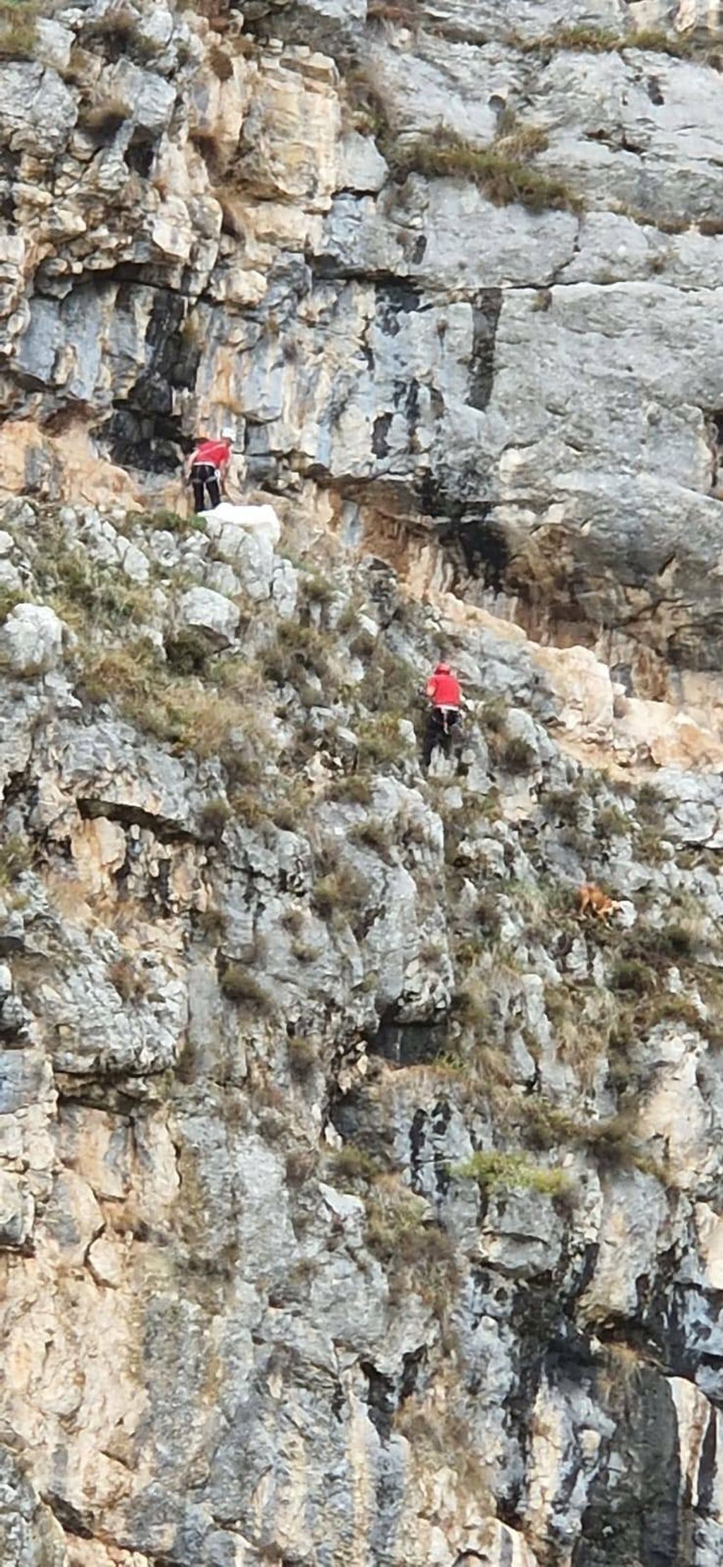 Spašavanje psa sa stijene - 10