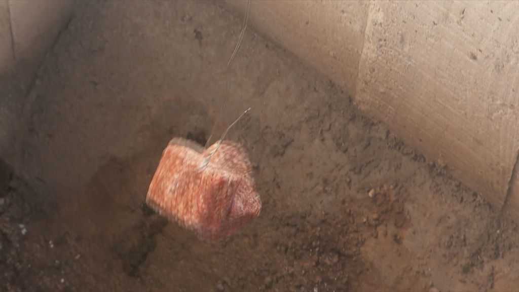 Opet problemi s glodavcima - 4