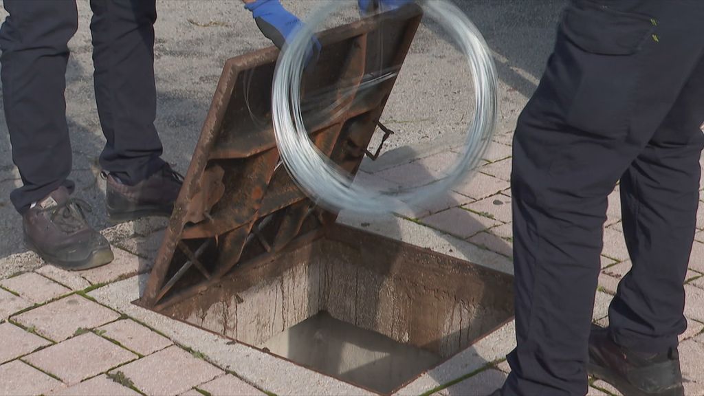 Opet problemi s glodavcima - 4