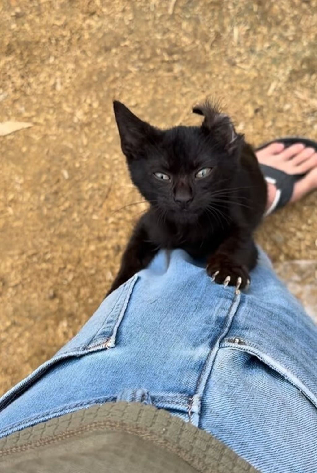 Justus Reid na Instagramu