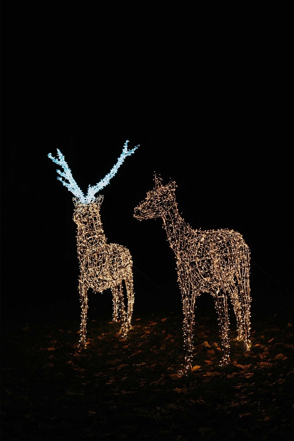 Trakošćan postaje dvorac svjetla