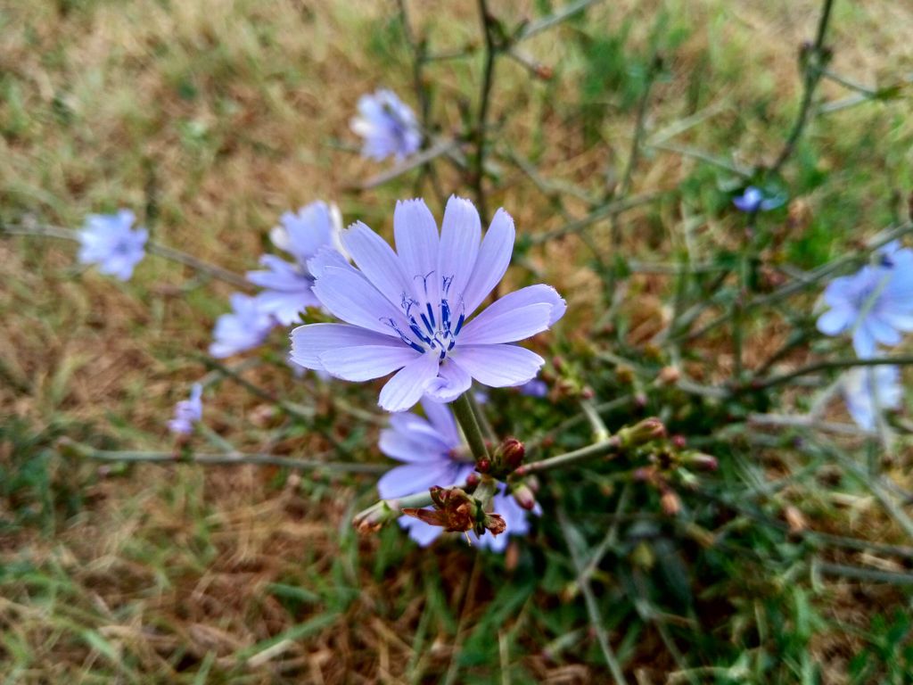 Nokia 3.1 (Foto: Hrvoje Jurman)