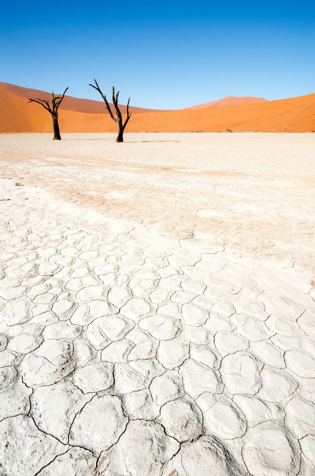 Zapanjujući prizori u namibijskoj pustinji