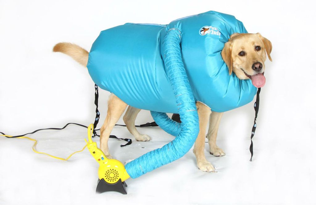 Vreća na napuhavanje u kojoj će se mokar pas brzinski osušiti - 3