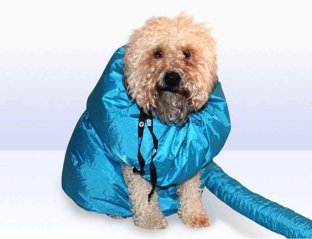 Vreća na napuhavanje u kojoj će se mokar pas brzinski osušiti - 4