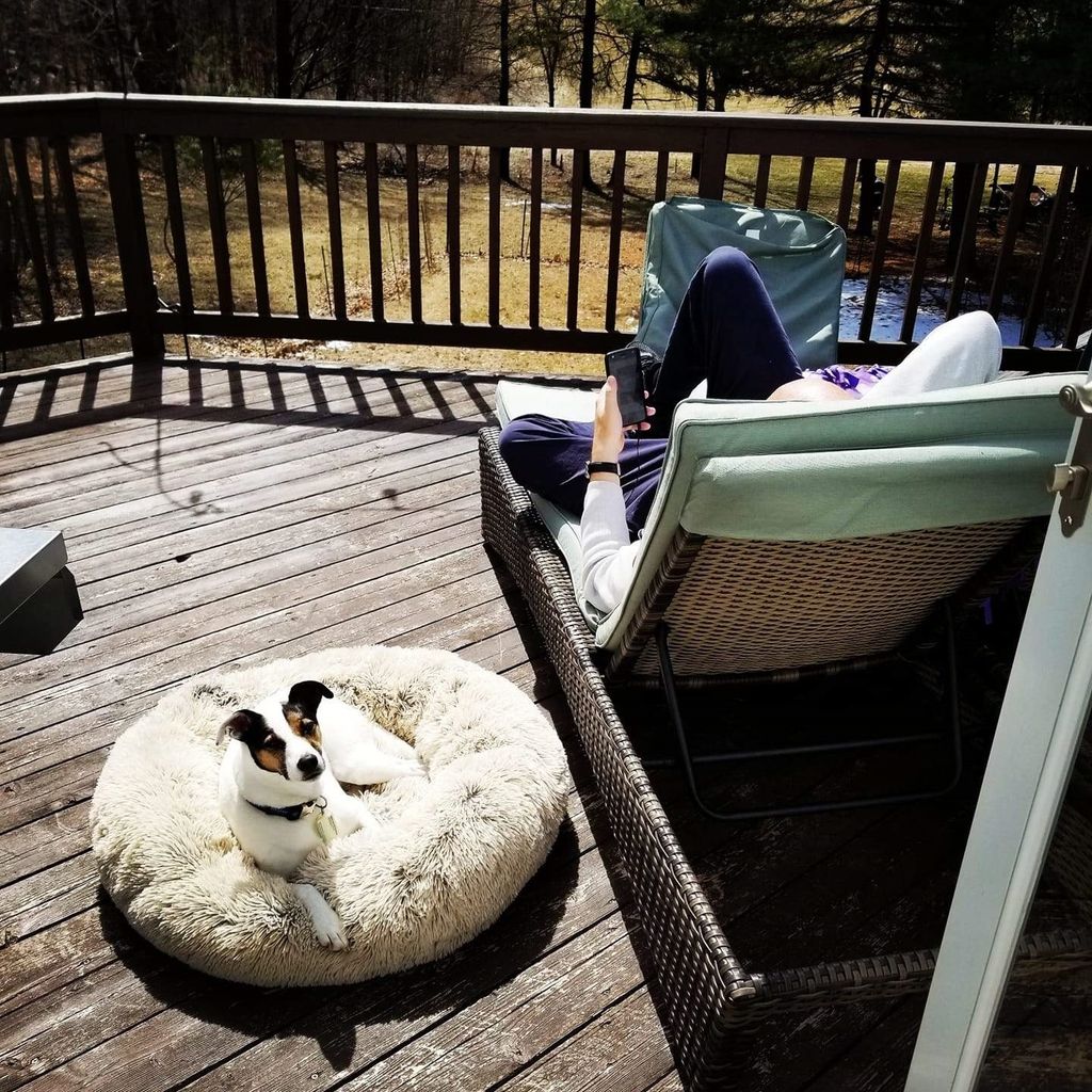 Krevetić za pse koji smiruje ljubimca oponaša toplinu majčinog krzna