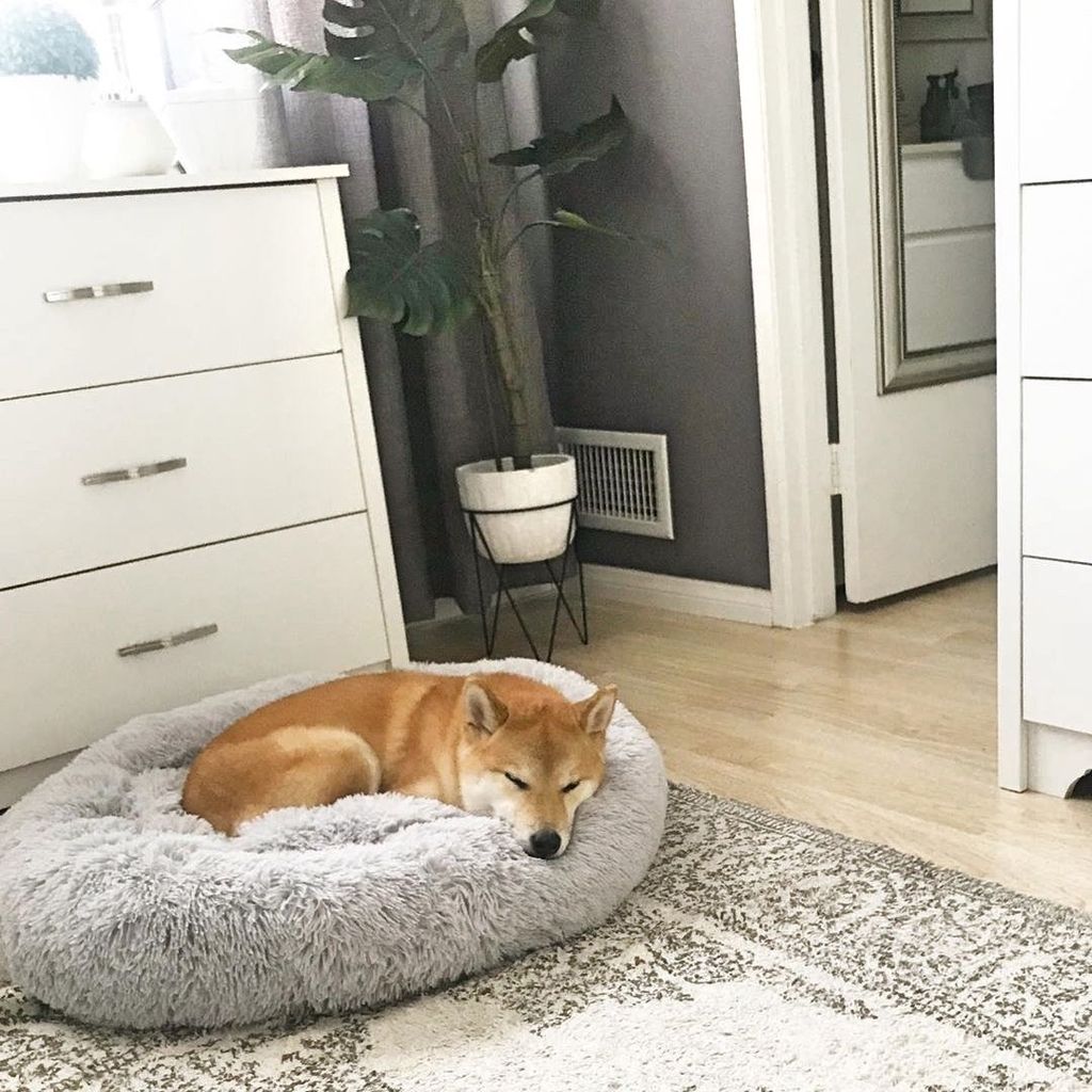 Krevetić za pse koji smiruje ljubimca - 2