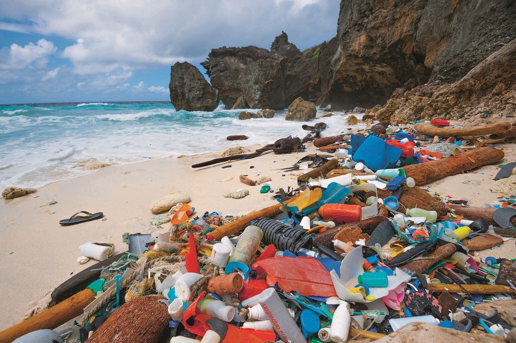 Zagađenje oceana plastikom, kitopsina se hrani u zagađenim vodama i guta plastiku