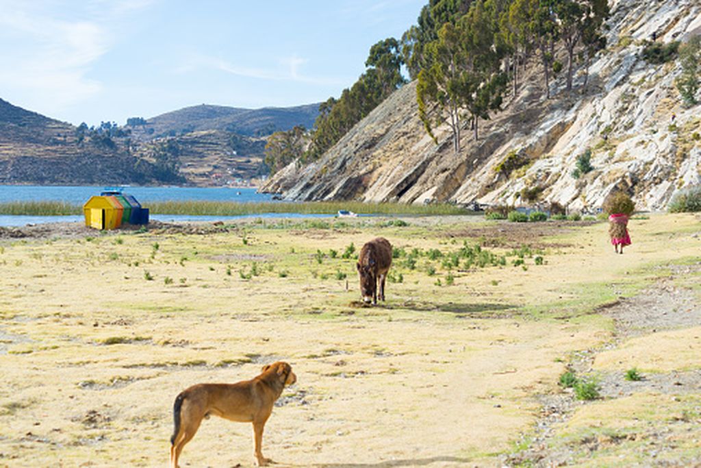 Titicaca