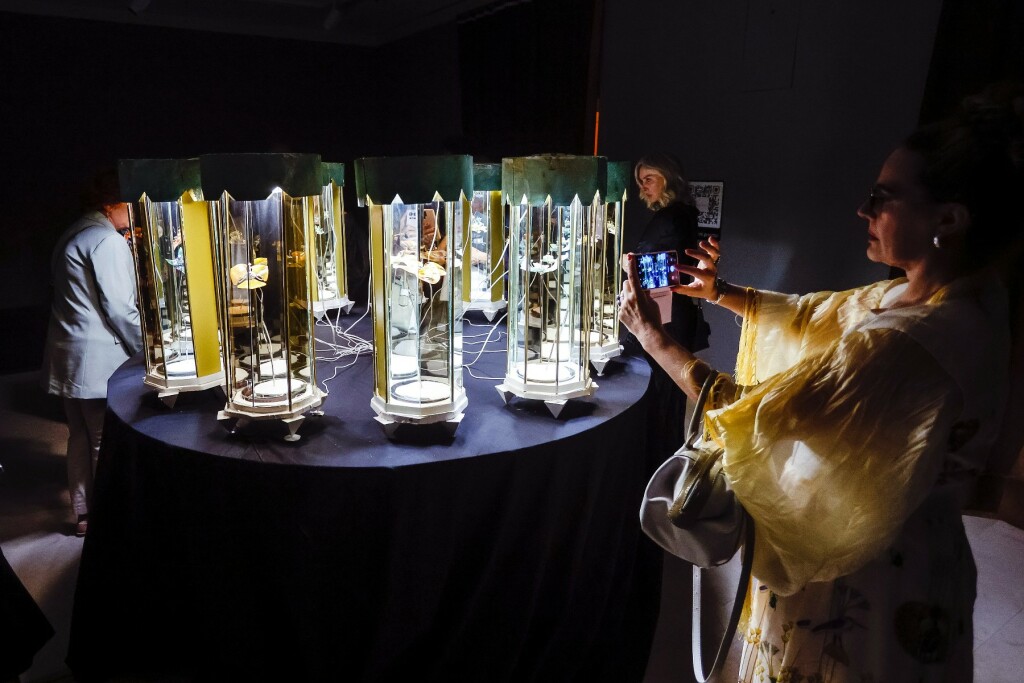 Otvorenje izložbe Nenada Sovilja