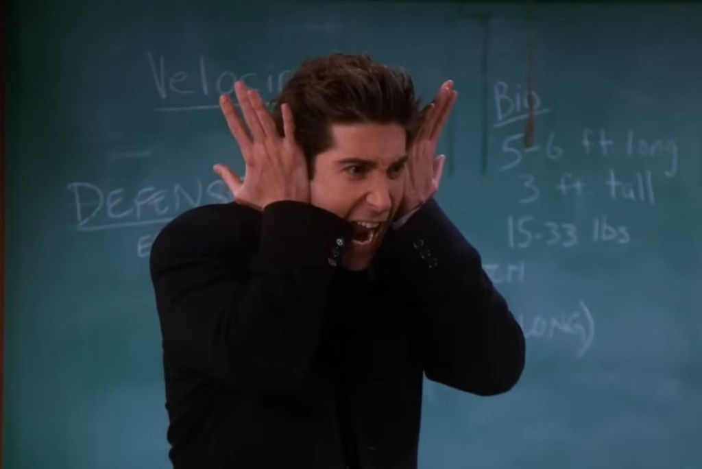 David Schwimmer - 1