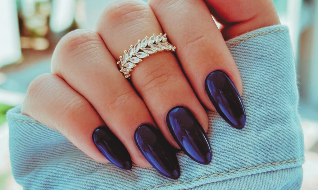Manikura u boji borovnice