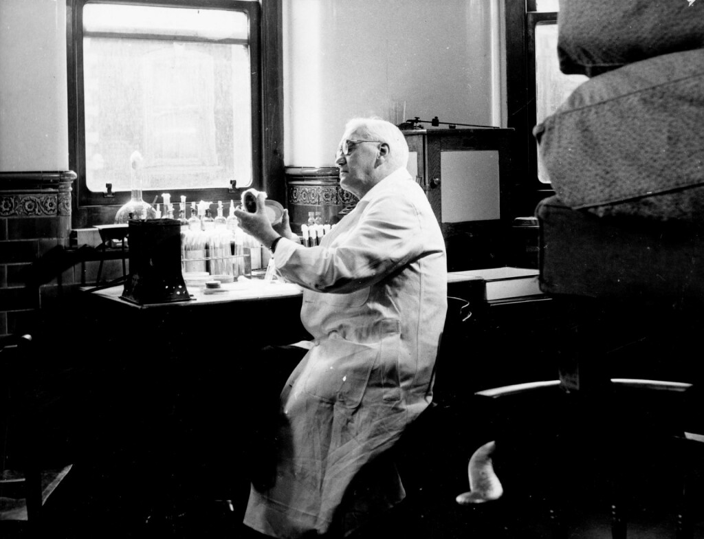 Kako je Fleming otkrio penicilin - 4