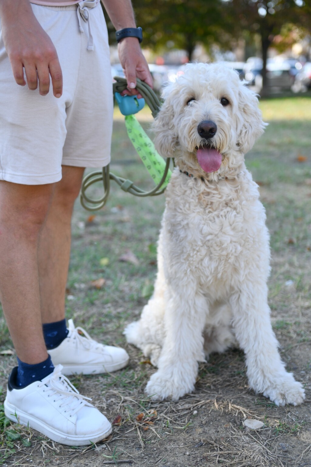 Festival pasa svih rasa u Zagrebu