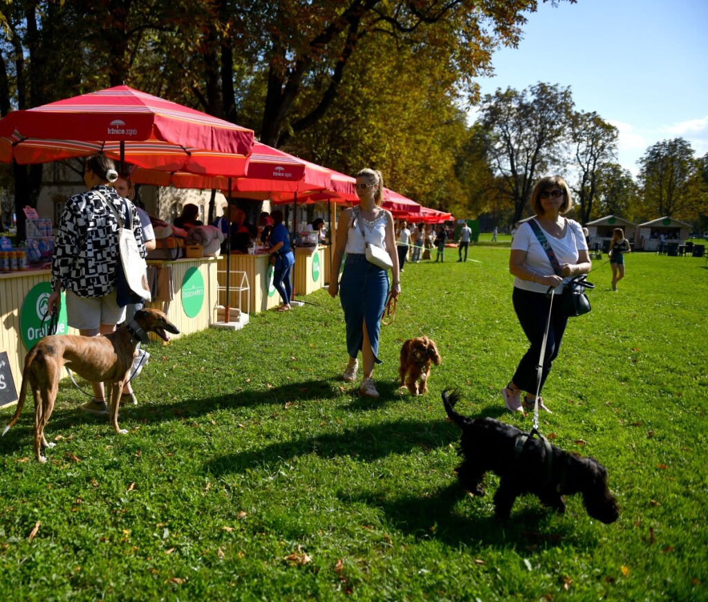 Festival pasa svih rasa u Zagrebu