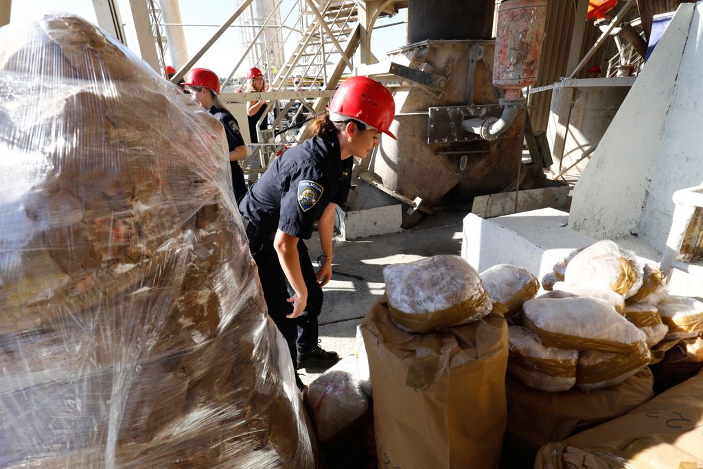 Spaljivanje droge u Našicama - 10