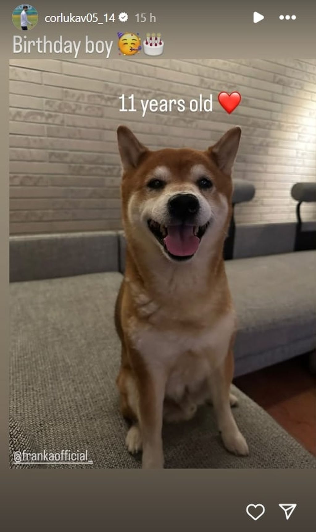 Franka Batelić Ćorluka i Vedran Ćorluka