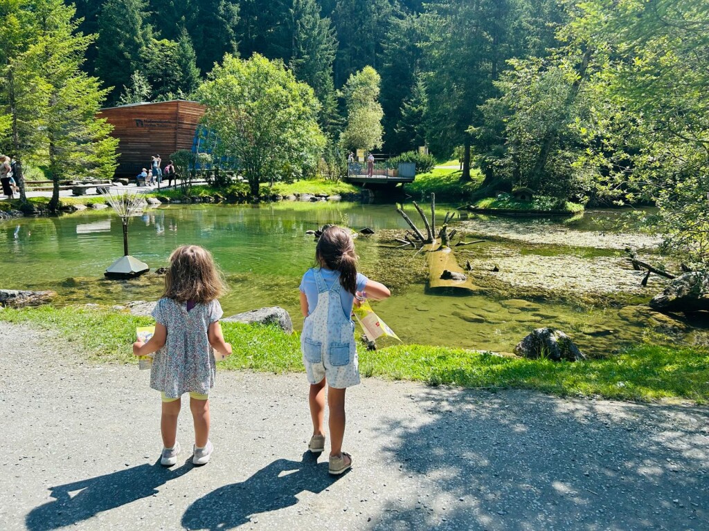 Zell am See - 1