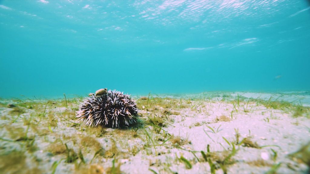 Jadran se mijenja - 1