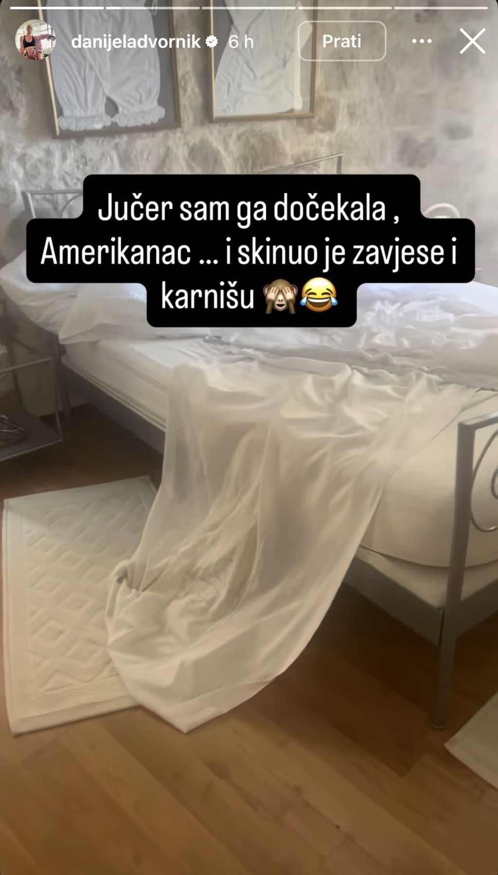 Danijela Dvornik na Instagramu