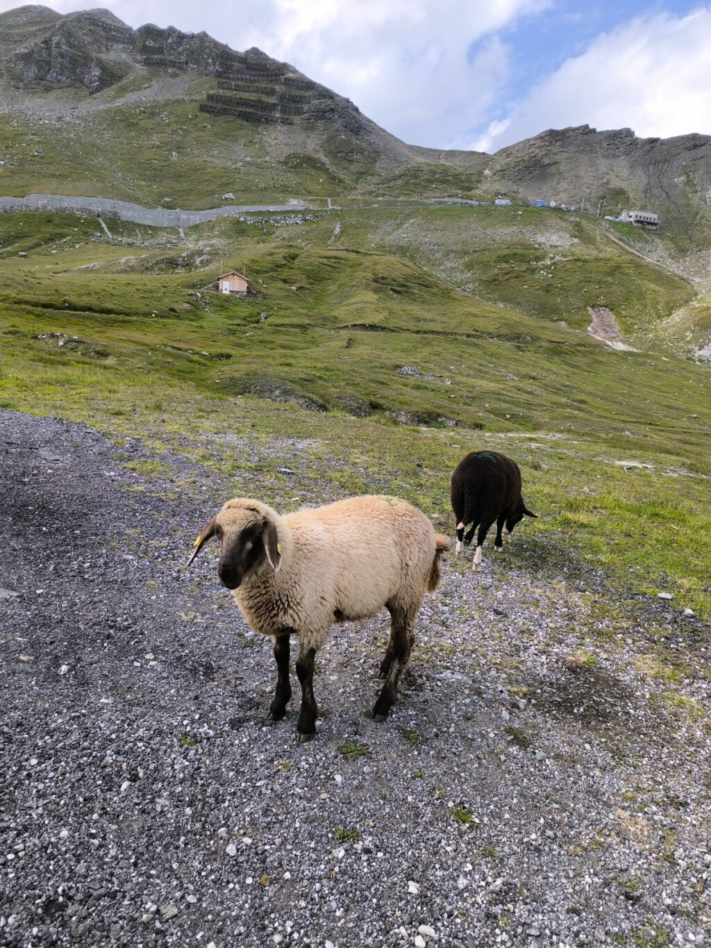 Zell am See - 6