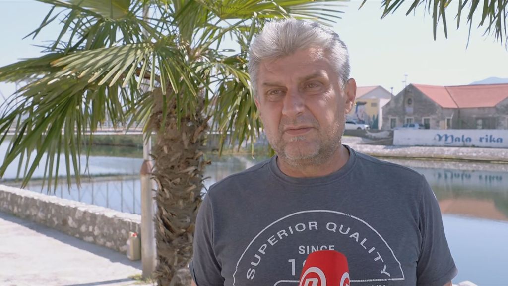 Uginula stoka kod Opuzena - 3