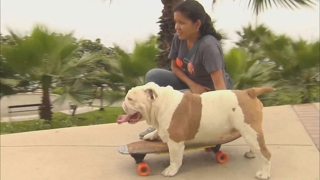 In Magazin: Guinnessova knjiga rekorda - 6