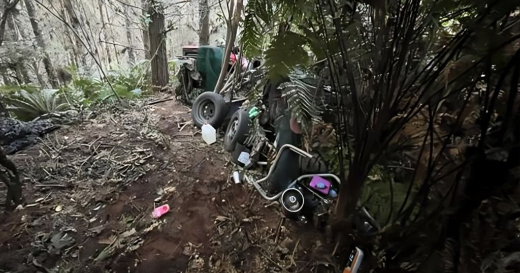 Kamp Toma Phillipsa na Novom Zelandu - 4