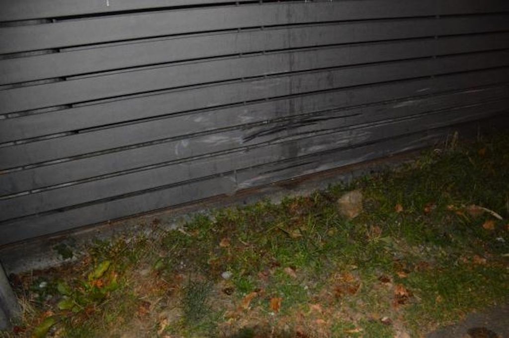 Oštećeni automobil i ograda u Dubravi - 2