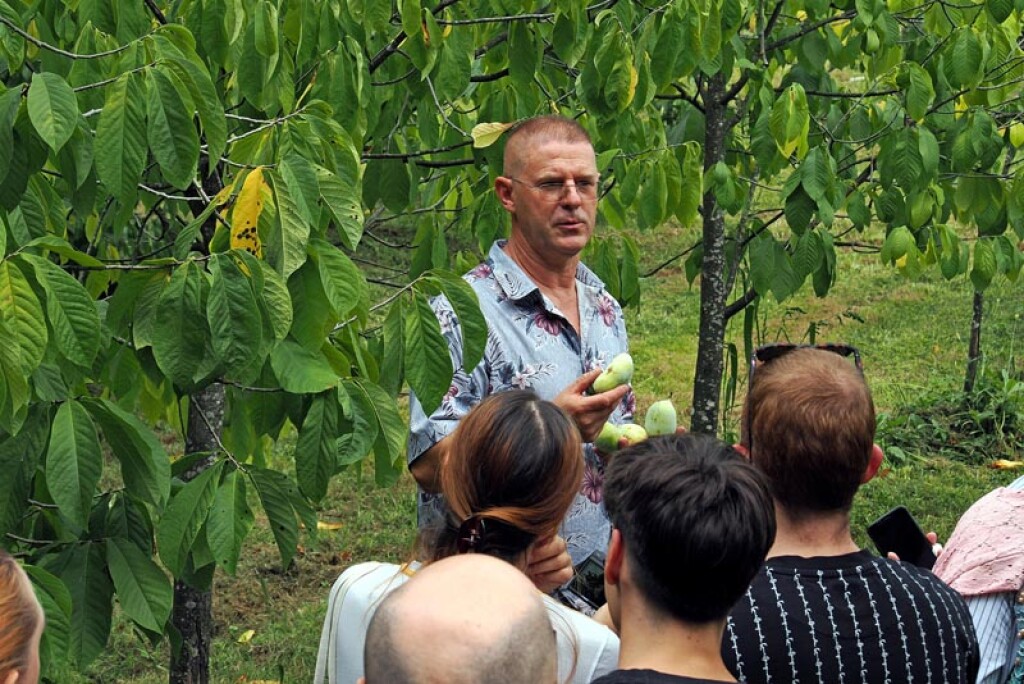 Ivan Šulog në plantacionin indian të bananeve në Bistra
