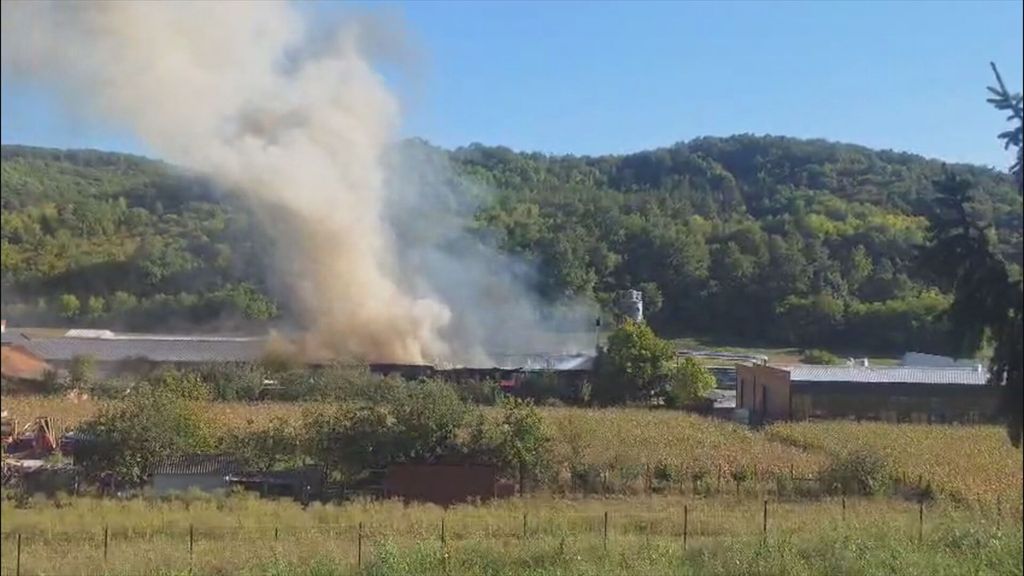 Požar u Slavoniji - 1