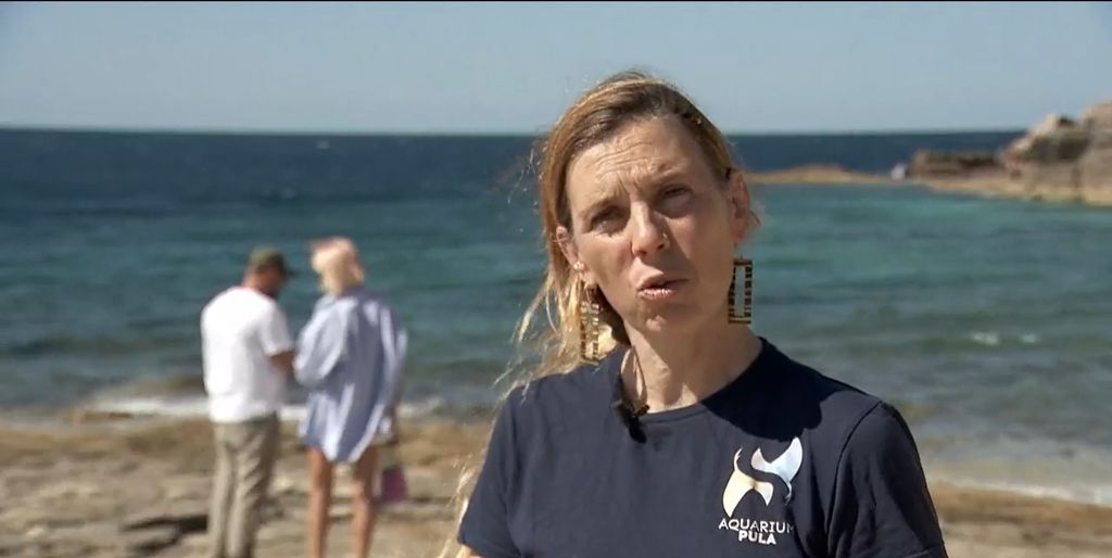 Prvo gnijezdo glavatih želva u Hrvatskoj - 2