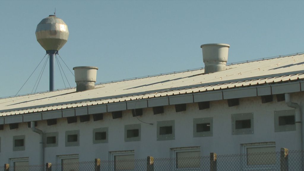 Eutanazija svinja - 1