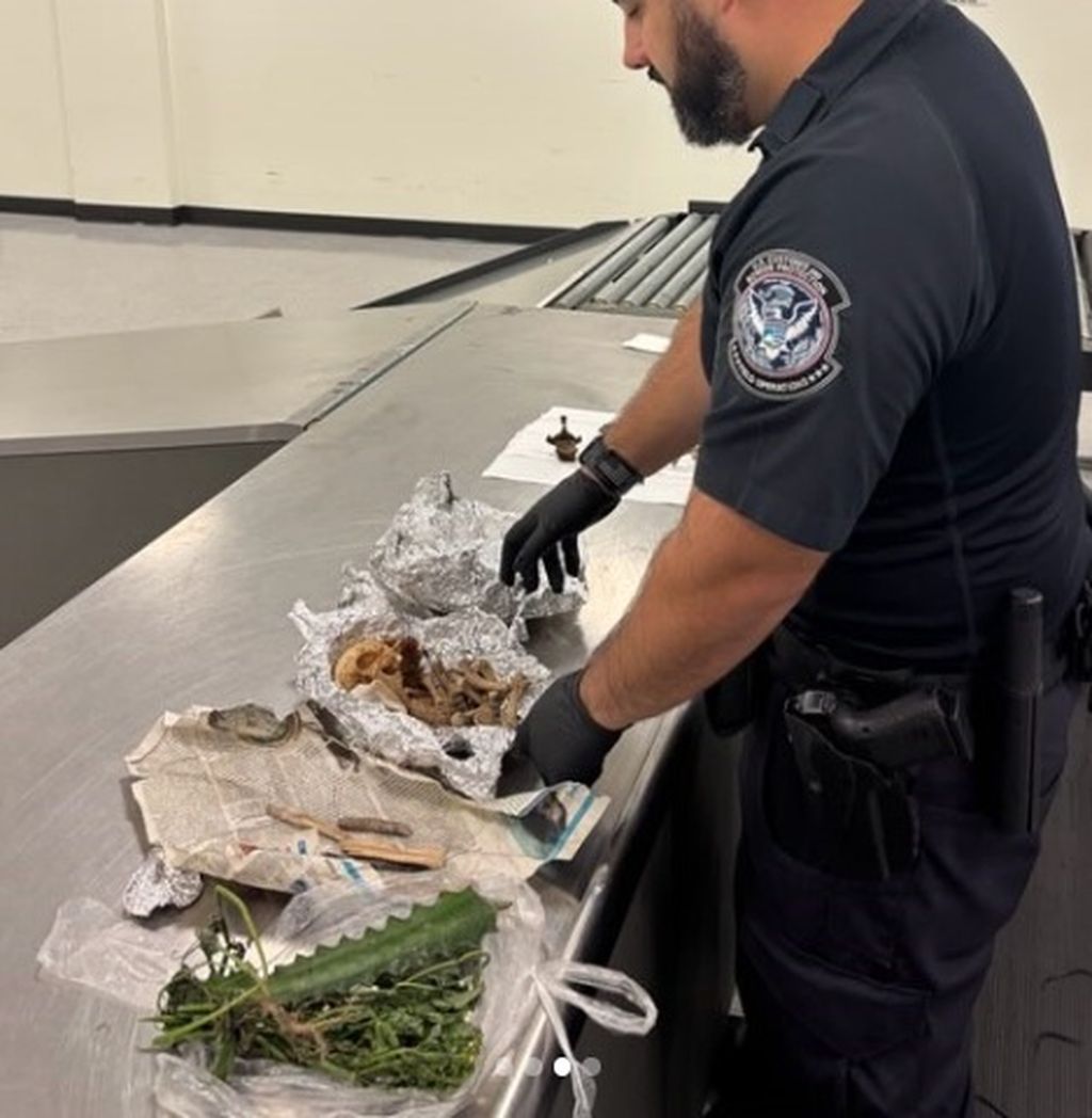 U prtljazi pronađeni ljudski ostaci - 1