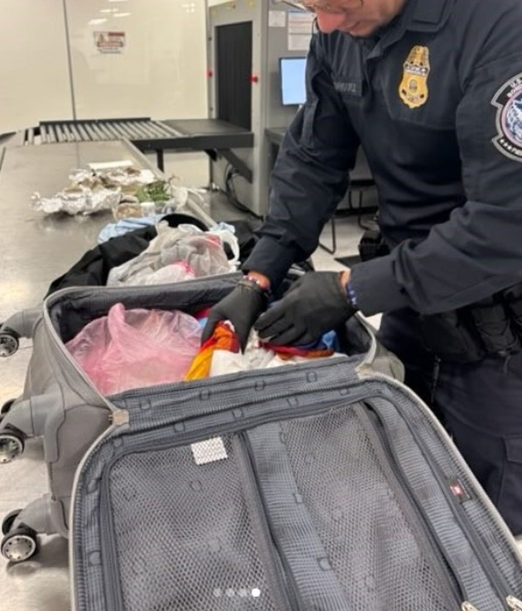 U prtljazi pronađeni ljudski ostaci - 1