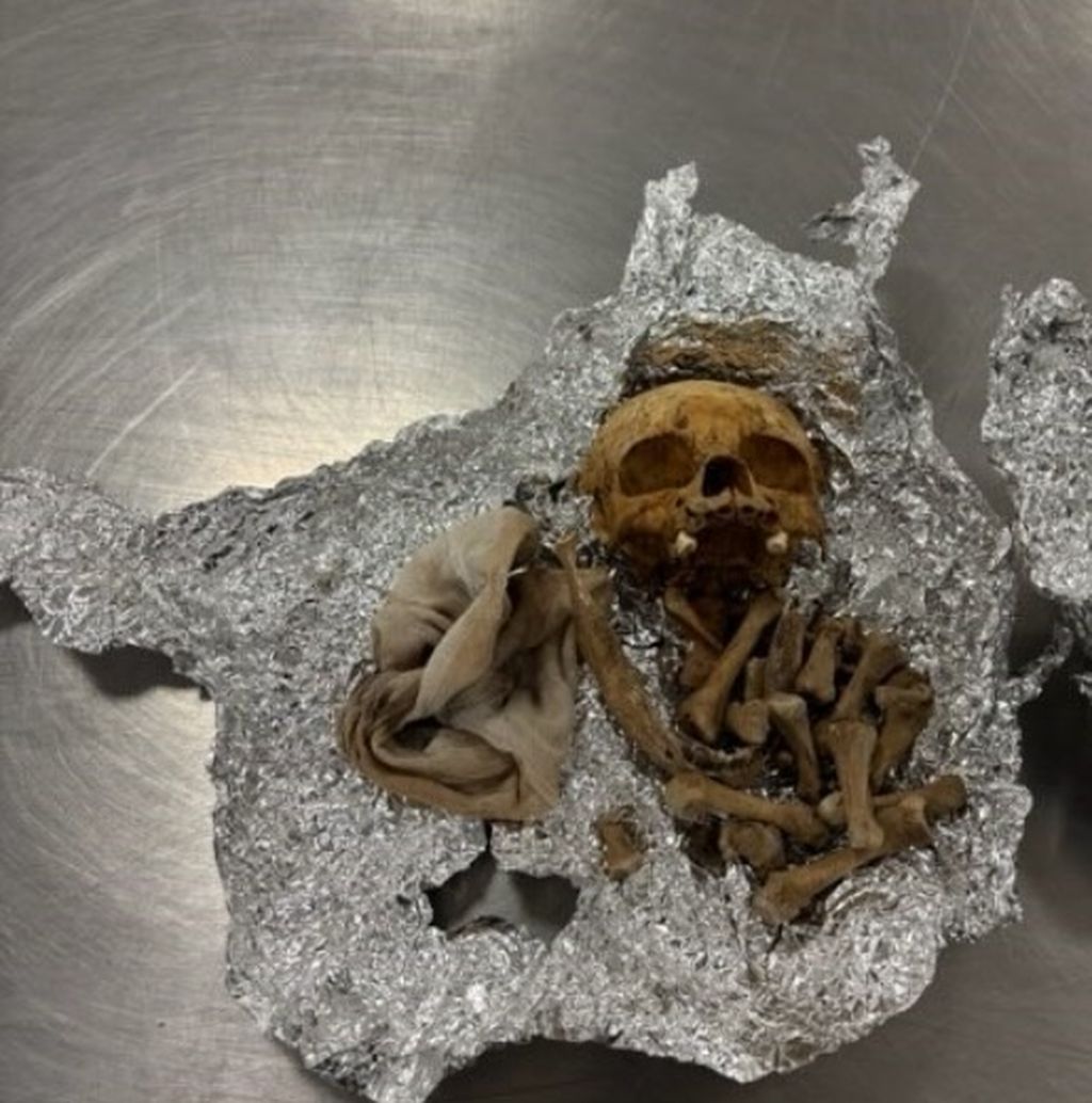 U prtljazi pronađeni ljudski ostaci - 1