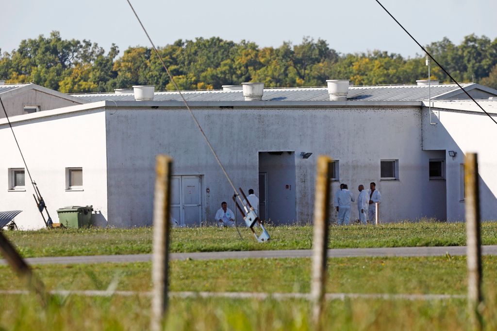 Eutanazija, farma Sokolovac