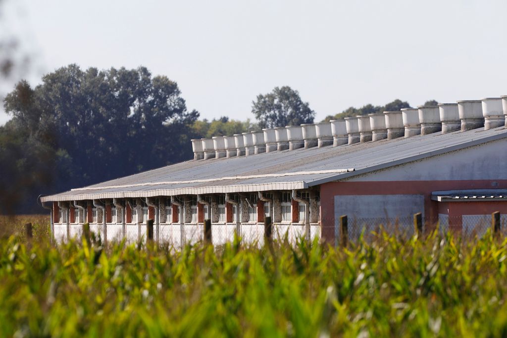 Eutanazija, farma Sokolovac