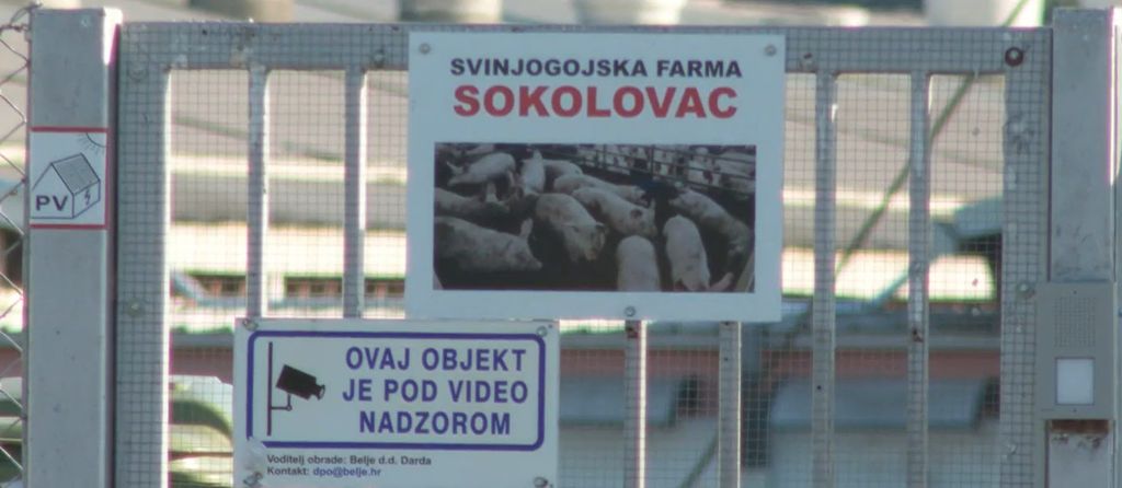 Nastavak eutanazije - 2