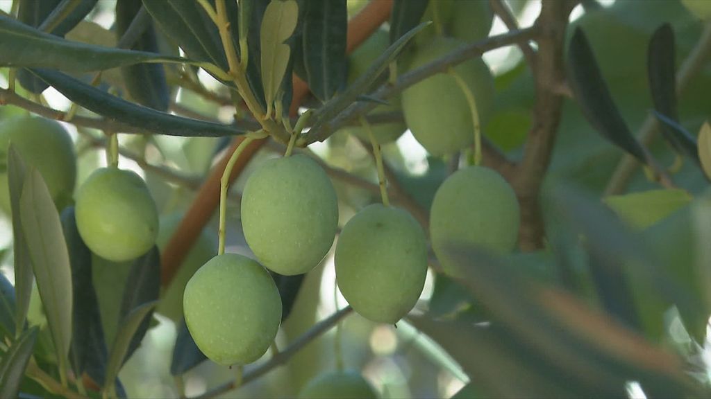 Trgovina/Ilustracija (Foto: Dnevnik.hr)